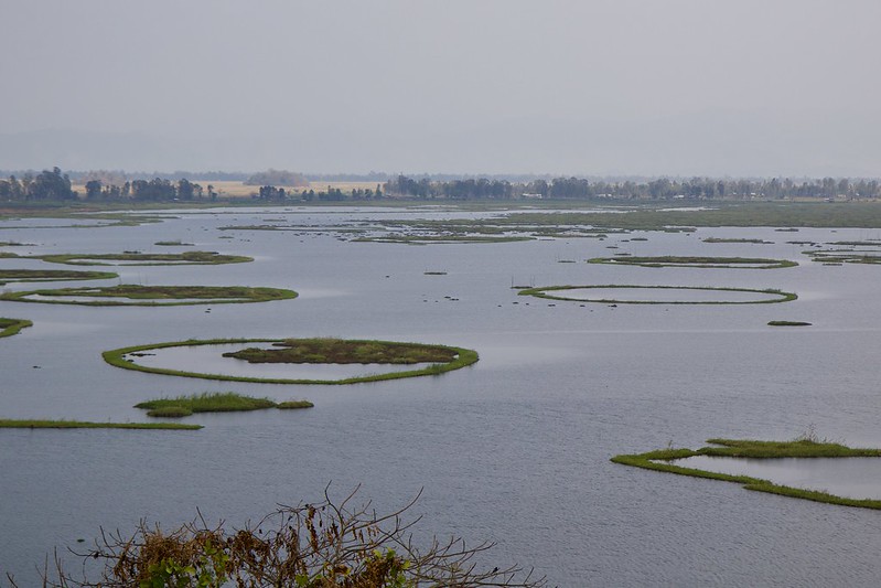 Les phumdis du lac Loktak phumdis du lac loktat inde 4 phumdis-du-lac-loktat-inde-4