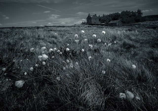 20 petites maisons isolées propices à la méditation 20 petites maisons isolees 18 champ dores canada 20-petites-maisons-isolees-18-champ-dores-canada