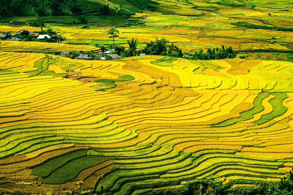 44 magnifiques photos de rizières en terrasse 44 magnifiques photos de rizieres terrasse 2 Rice Fields Terraced Fields Paddy Rice Terraces