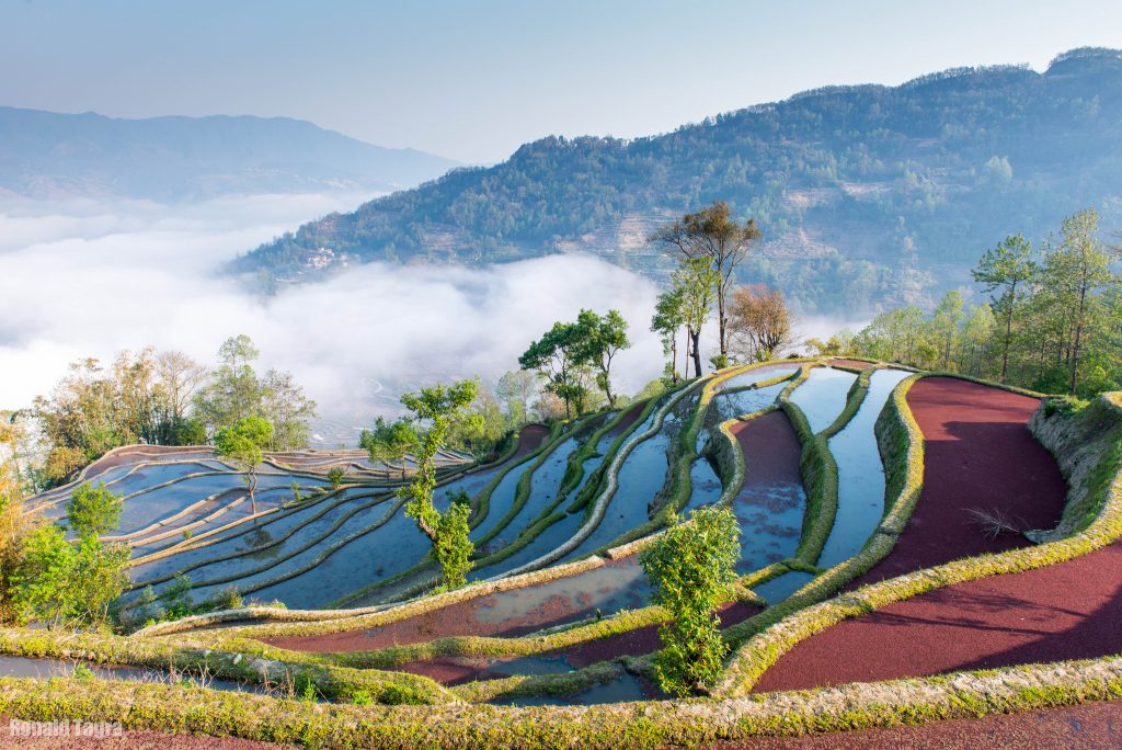 44 magnifiques photos de rizières en terrasse 44 magnifiques photos de rizieres terrasse 35 44-magnifiques-photos-de-rizieres-terrasse-35