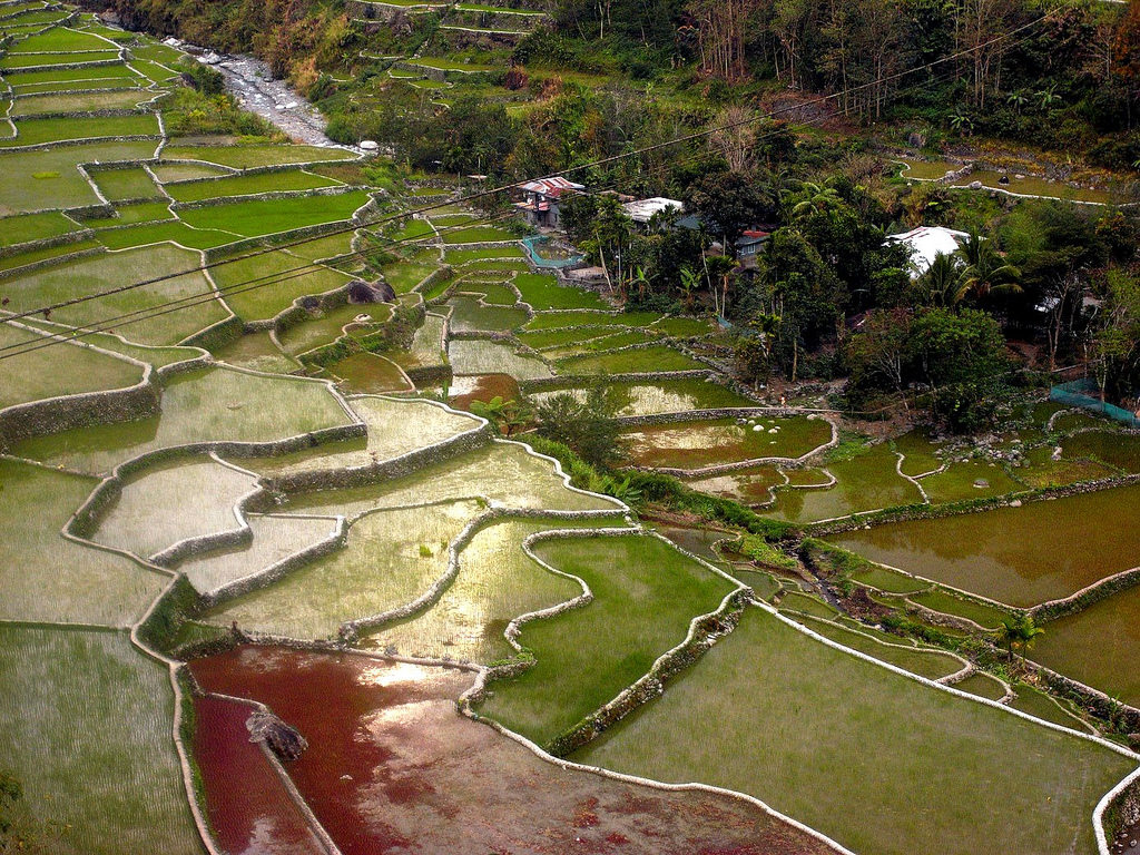 44 magnifiques photos de rizières en terrasse 44 magnifiques photos de rizieres terrasse 38 44-magnifiques-photos-de-rizieres-terrasse-38