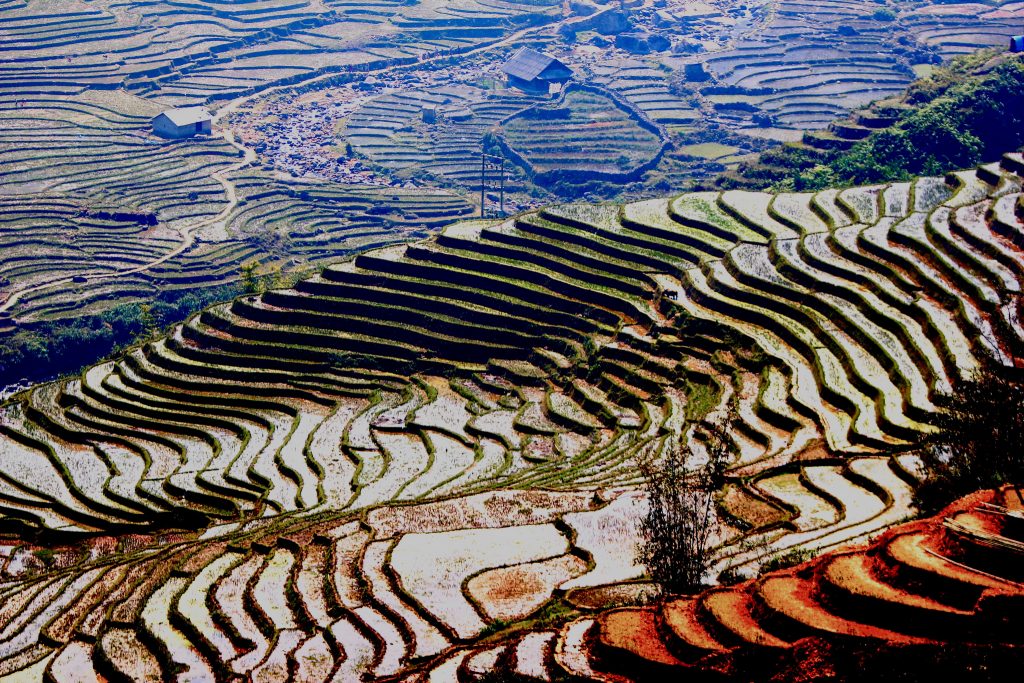 44 magnifiques photos de rizières en terrasse 44 magnifiques photos de rizieres terrasse 40 44-magnifiques-photos-de-rizieres-terrasse-40