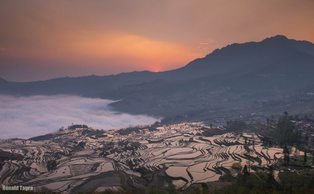 44 magnifiques photos de rizières en terrasse 44 magnifiques photos de rizieres terrasse 43 44-magnifiques-photos-de-rizieres-terrasse-43