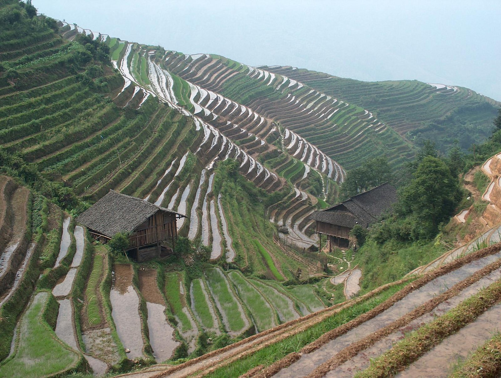 44 magnifiques photos de rizières en terrasse 44 magnifiques photos de rizieres terrasse 44 44-magnifiques-photos-de-rizieres-terrasse-44