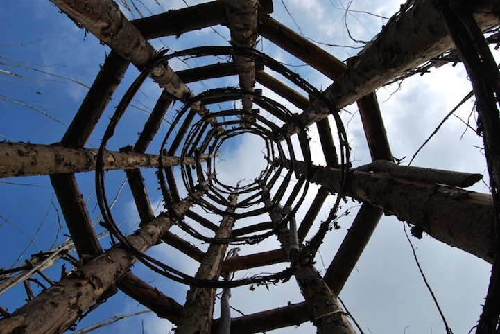 La cathédrale végétale de Giuliano Mauri Giuliano Mauri cattedrale vegetale cathedrale vegetale 10 Giuliano-Mauri-cattedrale-vegetale-cathedrale-vegetale-10