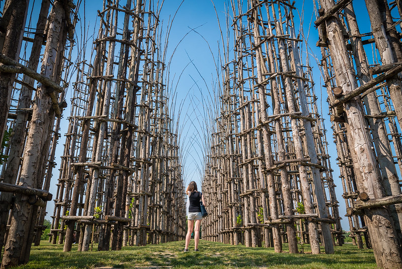 La cathédrale végétale de Giuliano Mauri Giuliano Mauri cattedrale vegetale cathedrale vegetale 6 Cattedrale Vegetale, 2018