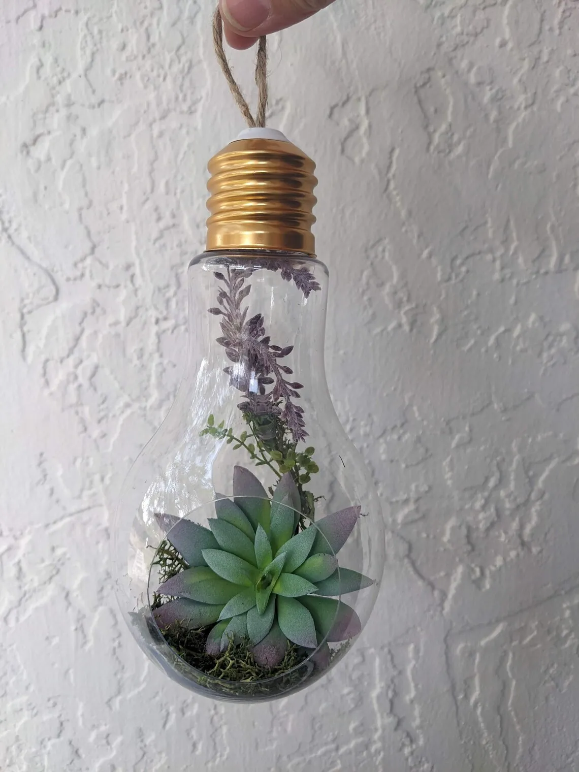 15 idées de bricolage pour recycler des ampoules 15 idees de bricolage pour recycler des ampoules terrarium 2 15-idees-de-bricolage-pour-recycler-des-ampoules-terrarium-2