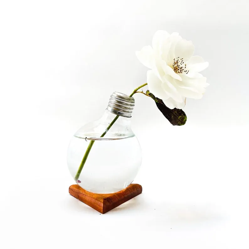 15 idées de bricolage pour recycler des ampoules 15 idees de bricolage pour recycler des ampoules vase 15-idees-de-bricolage-pour-recycler-des-ampoules-vase.