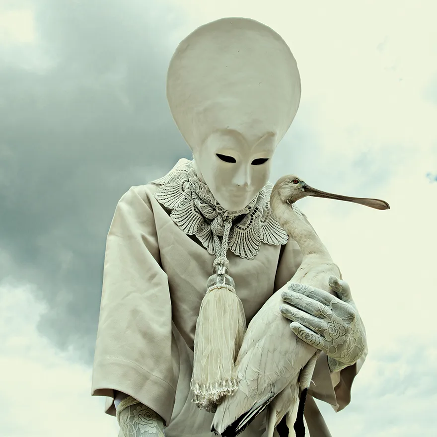 Wounderland - taxidermies et surréalisme par Mothmeister De nouvelles images de taxidermies et surrealisme horrible Wounderland 2 14 De-nouvelles-images-de-taxidermies-et-surrealisme-horrible-Wounderland-2-14