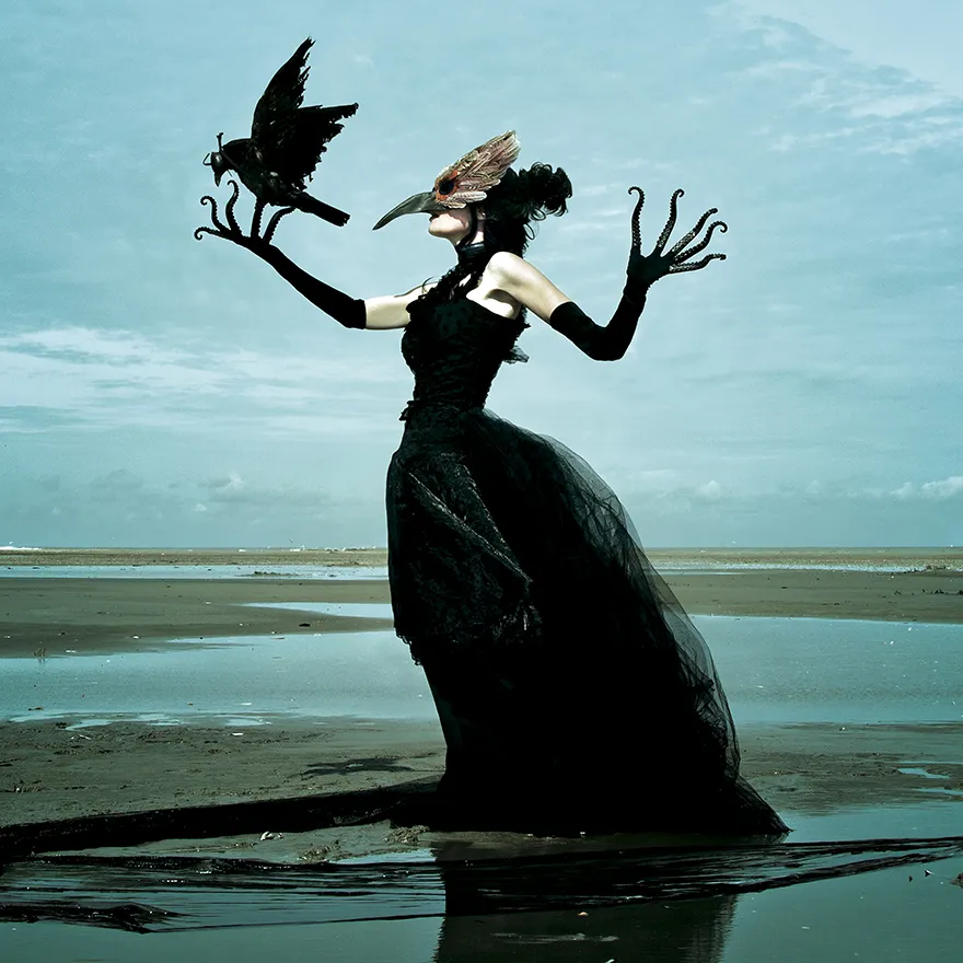 Wounderland - taxidermies et surréalisme par Mothmeister De nouvelles images de taxidermies et surrealisme horrible Wounderland 2 2 De-nouvelles-images-de-taxidermies-et-surrealisme-horrible-Wounderland-2-2