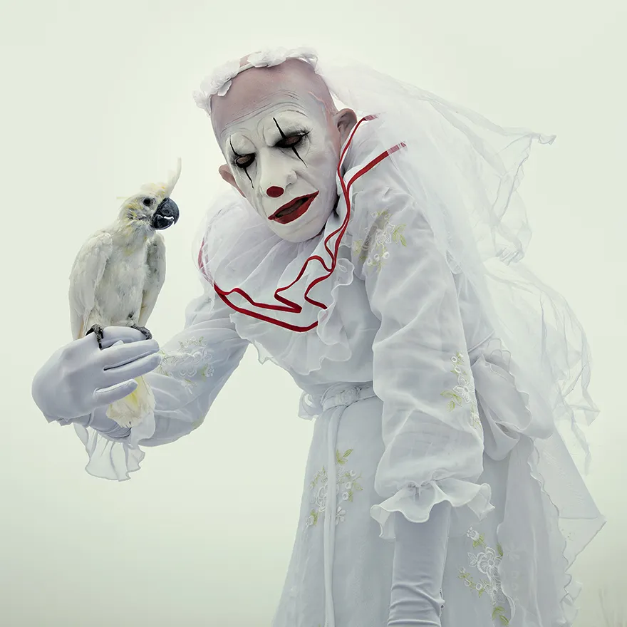 Wounderland - taxidermies et surréalisme par Mothmeister De nouvelles images de taxidermies et surrealisme horrible Wounderland 2 3 De-nouvelles-images-de-taxidermies-et-surrealisme-horrible-Wounderland-2-3