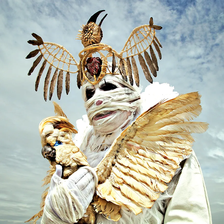 Wounderland - taxidermies et surréalisme par Mothmeister De nouvelles images de taxidermies et surrealisme horrible Wounderland 2 5 De-nouvelles-images-de-taxidermies-et-surrealisme-horrible-Wounderland-2-5