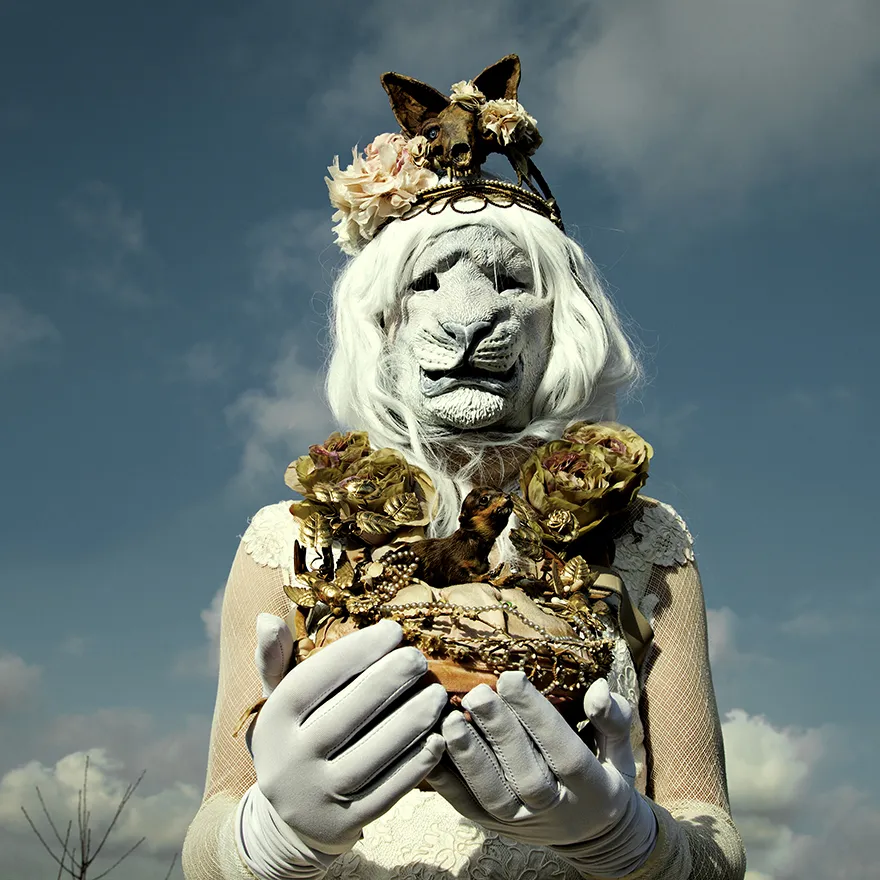 Wounderland - taxidermies et surréalisme par Mothmeister De nouvelles images de taxidermies et surrealisme horrible Wounderland 2 9 De-nouvelles-images-de-taxidermies-et-surrealisme-horrible-Wounderland-2-9