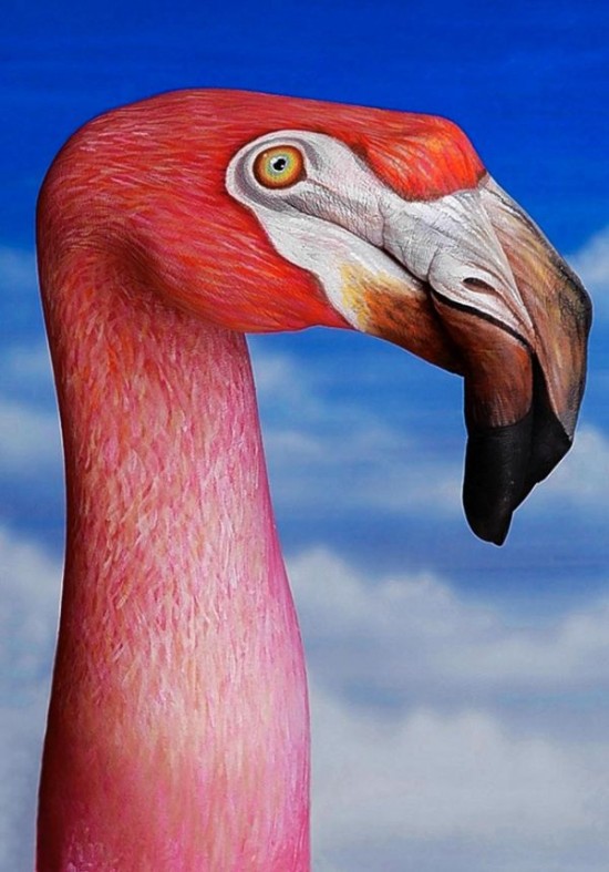 Guido Daniele fait de magnifiques animaux avec ses mains Guido Daniele fait de superbes animaux avec ses mains body painting 12 Guido-Daniele-fait-de-superbes-animaux-avec-ses-mains-body-painting-12