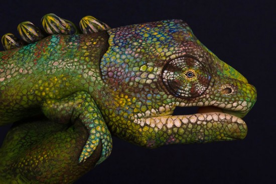 Guido Daniele fait de magnifiques animaux avec ses mains Guido Daniele fait de superbes animaux avec ses mains body painting 5 Guido-Daniele-fait-de-superbes-animaux-avec-ses-mains-body-painting-5