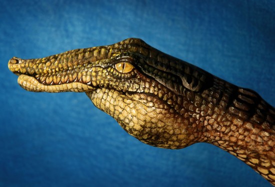 Guido Daniele fait de magnifiques animaux avec ses mains Guido Daniele fait de superbes animaux avec ses mains body painting 7 Guido-Daniele-fait-de-superbes-animaux-avec-ses-mains-body-painting-7