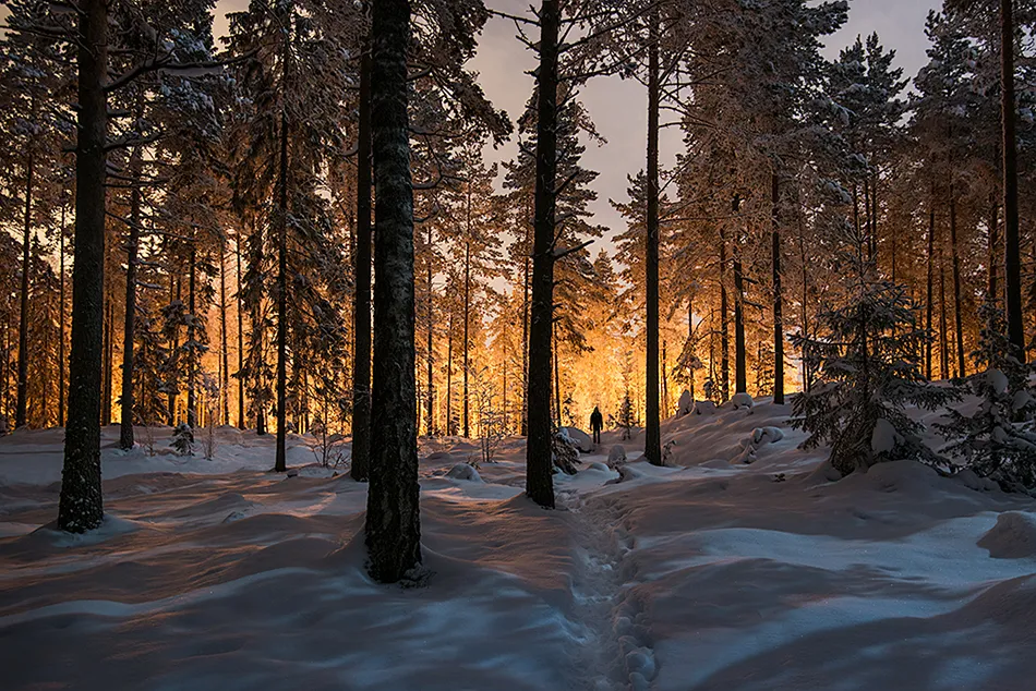 L'esprit de l'hiver en Finlande par Mikko Lagerstedt Paysages de Finlande par Mikko Lagerstedt 1 Paysages-de-Finlande-par-Mikko-Lagerstedt-1