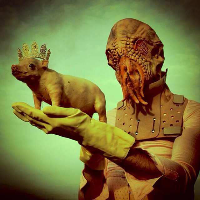 Wounderland - taxidermies et surréalisme par Mothmeister Wounderland taxidermies et surrealisme mothmeister 14 Wounderland-taxidermies-et-surrealisme-mothmeister-14