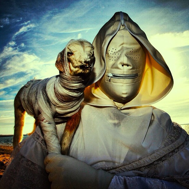 Wounderland - taxidermies et surréalisme par Mothmeister Wounderland taxidermies et surrealisme mothmeister 6 Wounderland-taxidermies-et-surrealisme-mothmeister-6