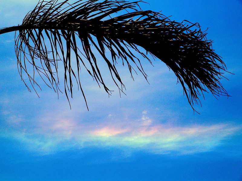 L'arc-en-ciel de feu ou arc circumhorizontal arc circumhorizontal arc en ciel de feu 10 arc-circumhorizontal-arc-en-ciel-de-feu-10