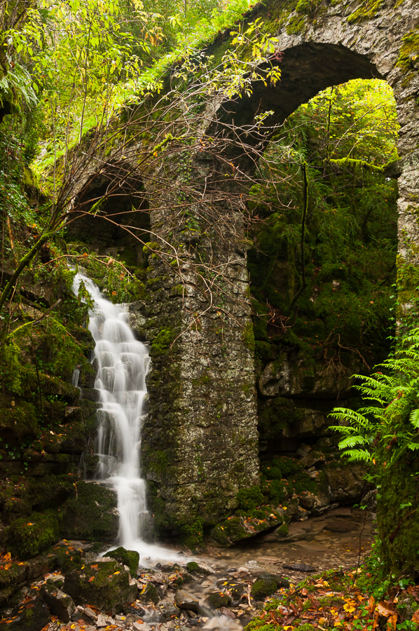 Eaux et Lumières par Jessica Buczek JB 20131103 0359 Resurrection Forests II