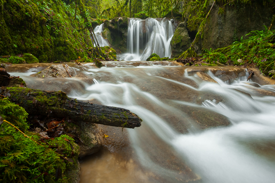 Eaux et Lumières par Jessica Buczek JB 20131108 1347 Vercors. Au Coeur des Forêts de Mousse.