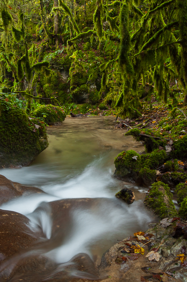 Eaux et Lumières par Jessica Buczek JB 20131109 0260 Vercors. Dans les Forêts de l'Oubli.