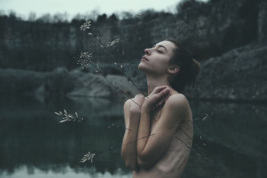 La faune et la flore par Bleeblu et Moon La faune et la flore par Bleeblu et Moon mashup dessin photo 2 La-faune-et-la-flore-par-Bleeblu-et-Moon-mashup-dessin-photo-2