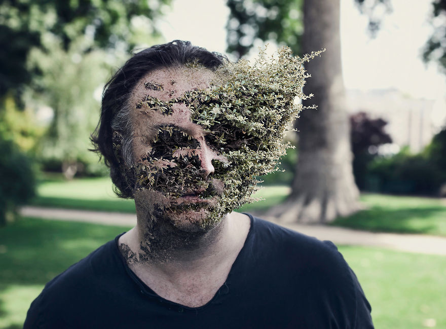 Treebeard - des visages dévorés par la nature Treebeard cal redback visages devores par la nature 4 Treebeard-cal-redback-visages-devores-par-la-nature-4