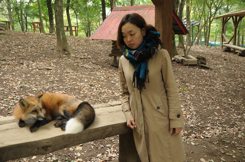 Le village des renards de Zao: Zao Kitsune Mura Zao Kitsune Mura le village des renards japon 6 Zao-Kitsune-Mura-le-village-des-renards-japon-6