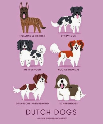 Infographies: nationalité des chiens la nationalite des chiens 13 hollande la-nationalite-des-chiens-13-hollande