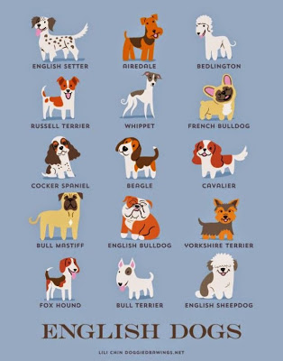 Infographies: nationalité des chiens la nationalite des chiens 4 angleterre la-nationalite-des-chiens-4-angleterre