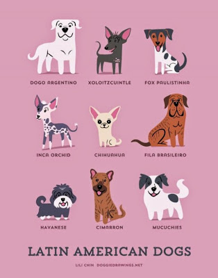 Infographies: nationalité des chiens la nationalite des chiens 7 amerique latine la-nationalite-des-chiens-7-amerique-latine