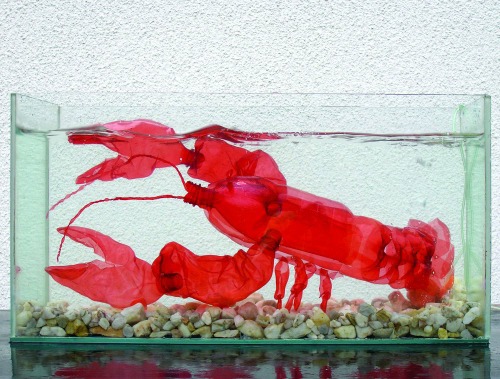 Les recyclages de bouteilles plastiques en sculptures de Veronica Richterova recyclages de bouteilles plastiques en sculptures par Veronica Richterova 4 homard recyclages-de-bouteilles-plastiques-en-sculptures-par-Veronica-Richterova-4-homard