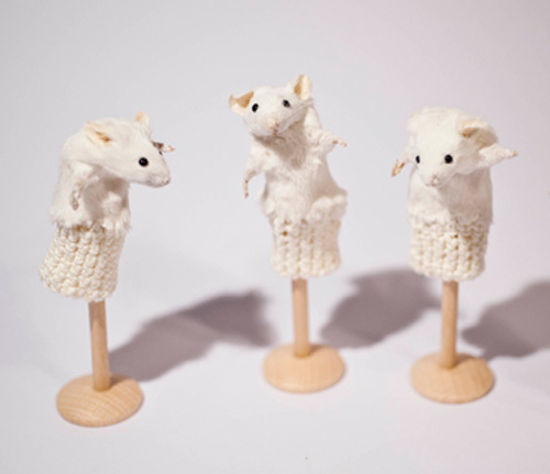 De la taxidermie en art macabre par Noortje Zijlstra taxidermie en art macabre Noortje Zijlstra 4 taxidermie-en-art-macabre-Noortje-Zijlstra-4