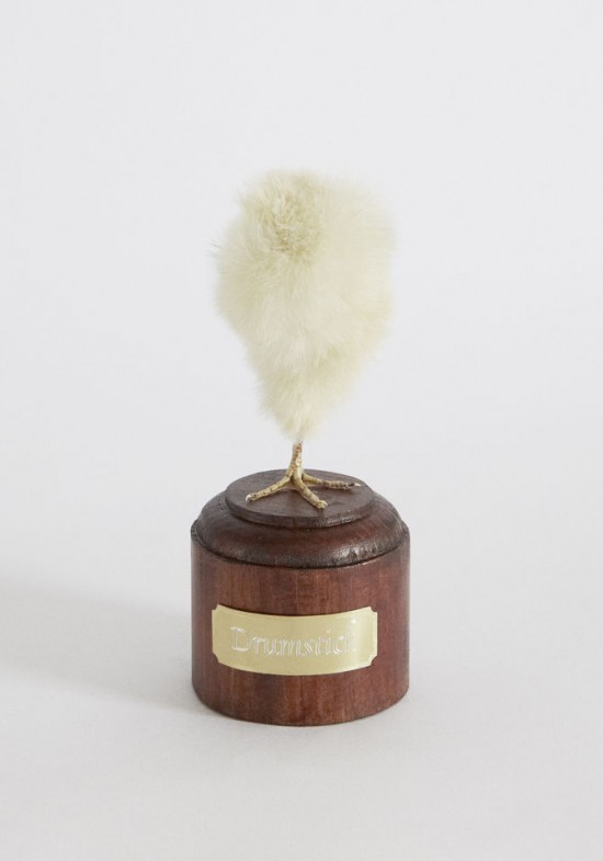 De la taxidermie en art macabre par Noortje Zijlstra taxidermie en art macabre Noortje Zijlstra 7 taxidermie-en-art-macabre-Noortje-Zijlstra-7