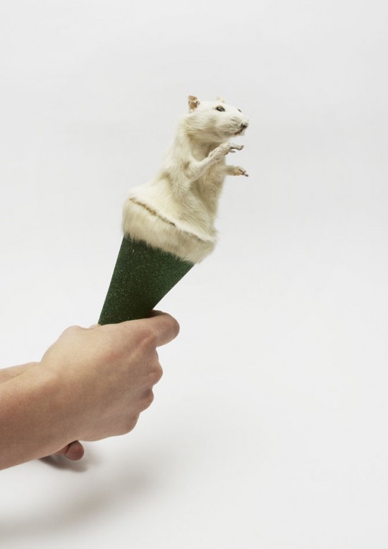 De la taxidermie en art macabre par Noortje Zijlstra taxidermie en art macabre Noortje Zijlstra 8 taxidermie-en-art-macabre-Noortje-Zijlstra-8