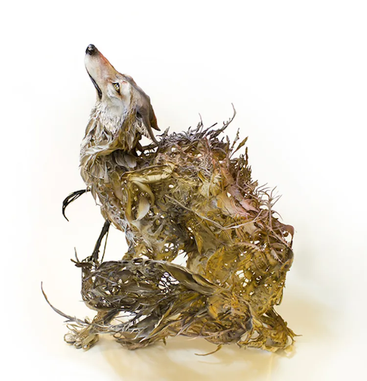 Les sculptures d'animaux surréalistes de Ellen Jewett de nouvelles sculptures surrealistes d animaux meles a de la flore de Ellen Jewett 9 de-nouvelles-sculptures-surrealistes-d-animaux-meles-a-de-la-flore-de-Ellen-Jewett-8