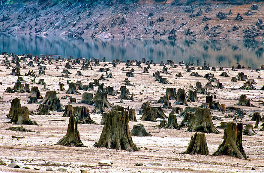 17 images montrant l'effet dévastateur sur l'environnement de la surpopulation 17 images montrant l effet devastateur sur l environnement de la surpopulation 2 17-images-montrant-l-effet-devastateur-sur-l-environnement-de-la-surpopulation-2 orêt nationale de Willamette
