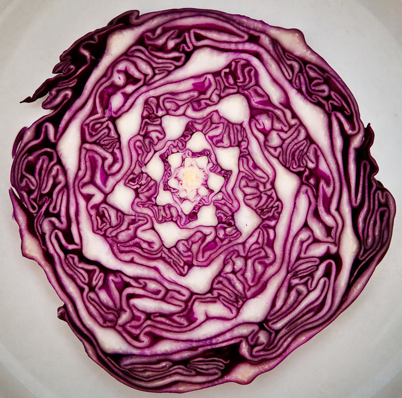 20 plantes aux formes géométriques 20 plantes aux formes geometriques 3 #165 – The inside of a flower