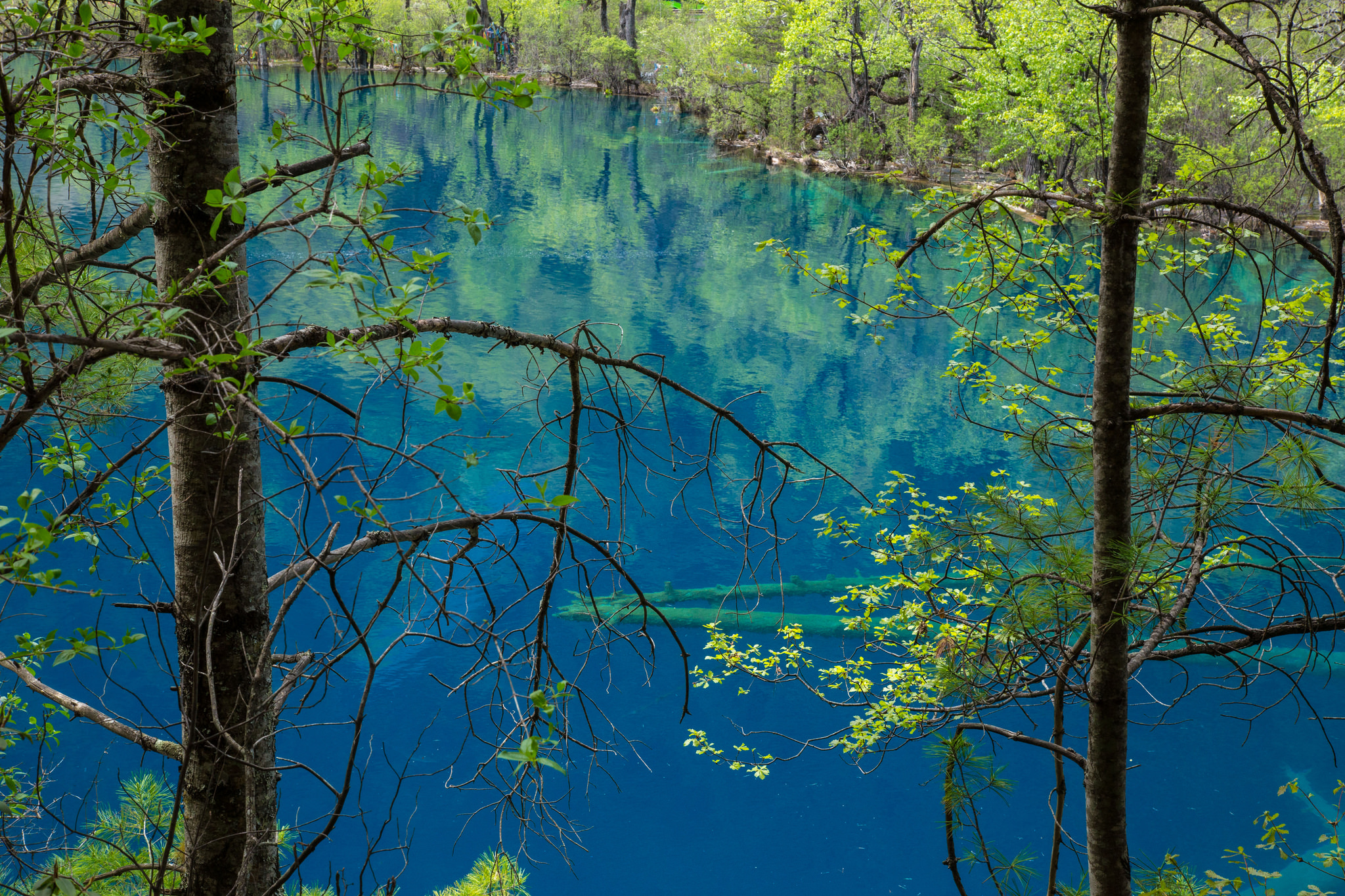 34 endroits pour nager dans l'eau la plus claire du monde 34 endroits pour nager dans l eau la plus claire du monde 9 34-endroits-pour-nager-dans-l-eau-la-plus-claire-du-monde-9
