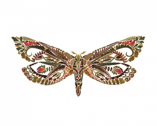 Les collages de feuilles séchées de Helen Ahpornsiri Les collages de feuilles sechees de Helen Ahpornsiri 4 Les-collages-de-feuilles-sechees-de-Helen-Ahpornsiri-4