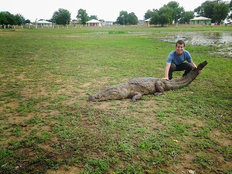 Les crocodiles dociles de Paga Les crocodiles dociles de Paga 5 Les-crocodiles-dociles-de-Paga-5