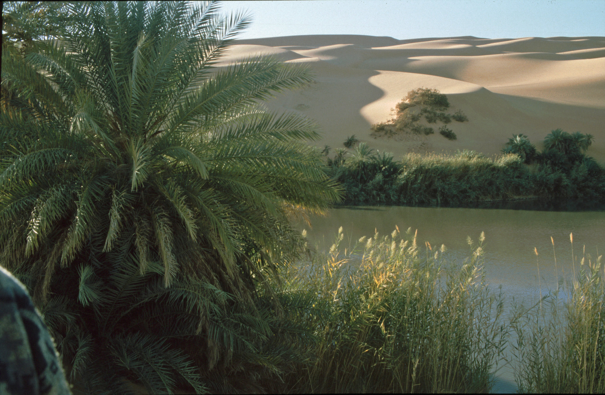 Les lacs d'Ubari, splendides oasis au milieu du désert Les lacs d Ubari splendides oasis au milieu du desert 3 Les-lacs-d-Ubari-splendides-oasis-au-milieu-du-desert-3