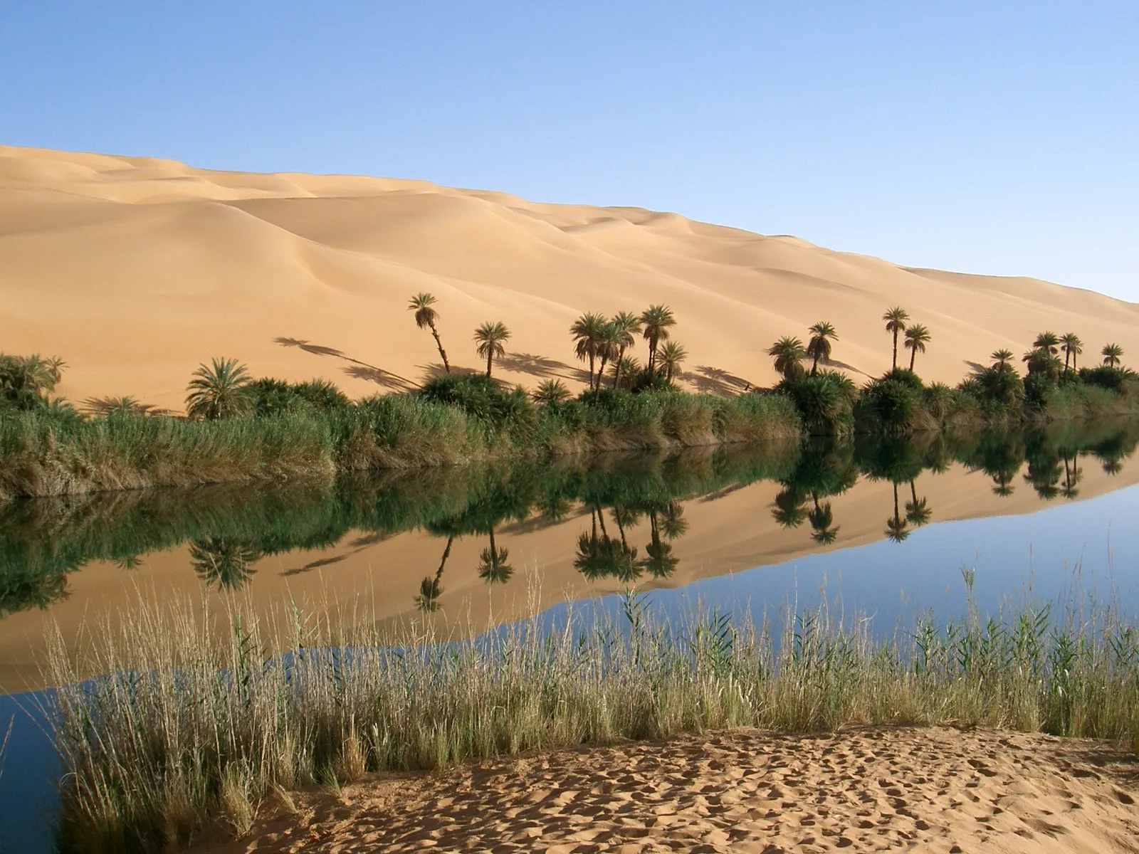 Les lacs d'Ubari, splendides oasis au milieu du désert Les lacs d Ubari splendides oasis au milieu du desert 4 Les-lacs-d-Ubari-splendides-oasis-au-milieu-du-desert-4