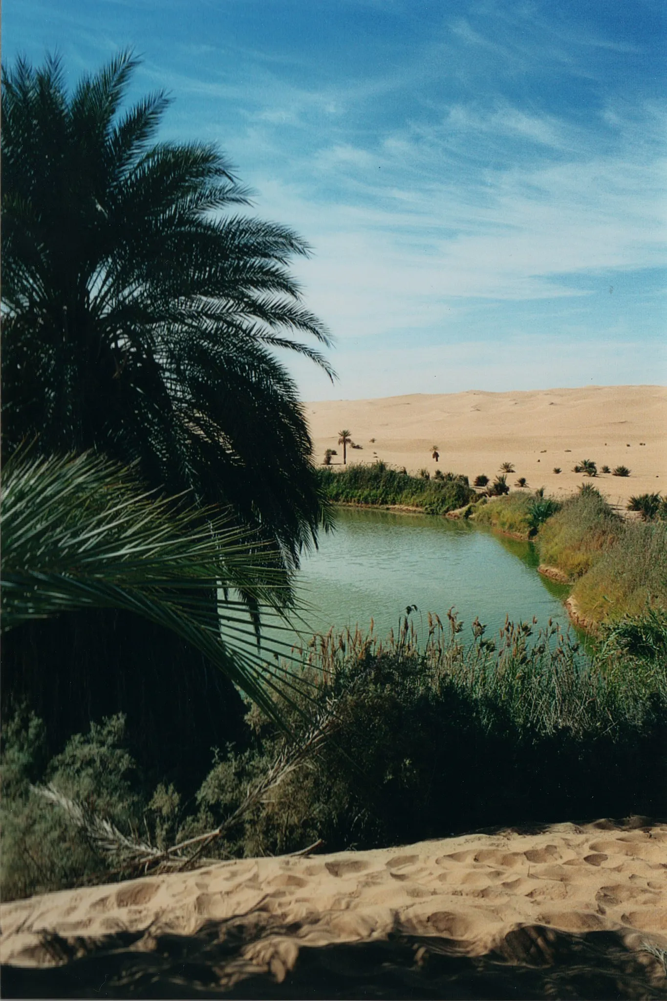 Les lacs d'Ubari, splendides oasis au milieu du désert Les lacs d Ubari splendides oasis au milieu du desert 5 Les-lacs-d-Ubari-splendides-oasis-au-milieu-du-desert-5