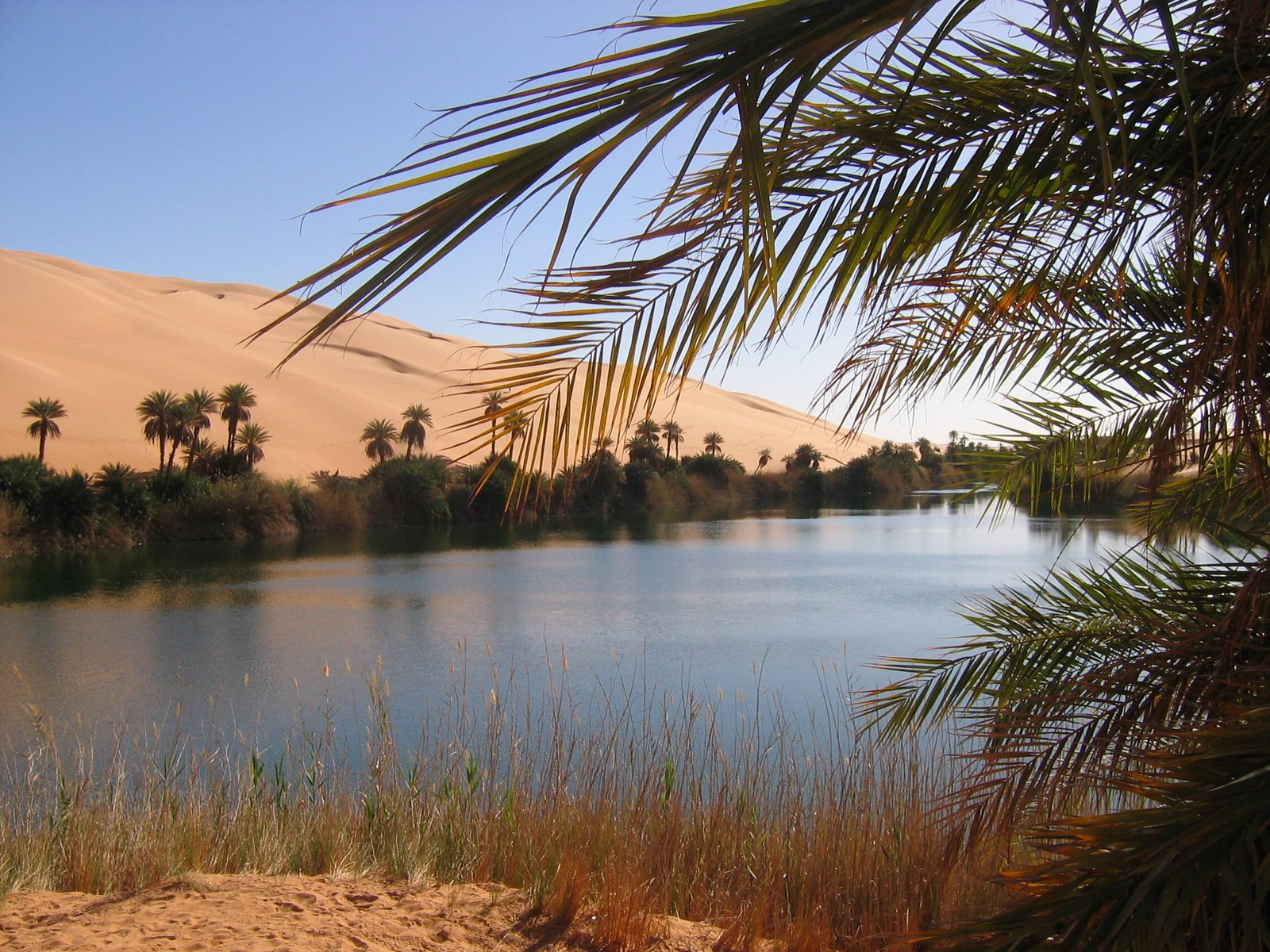 Les lacs d'Ubari, splendides oasis au milieu du désert Les lacs d Ubari splendides oasis au milieu du desert 7 1 Les-lacs-d-Ubari-splendides-oasis-au-milieu-du-desert-7-1.
