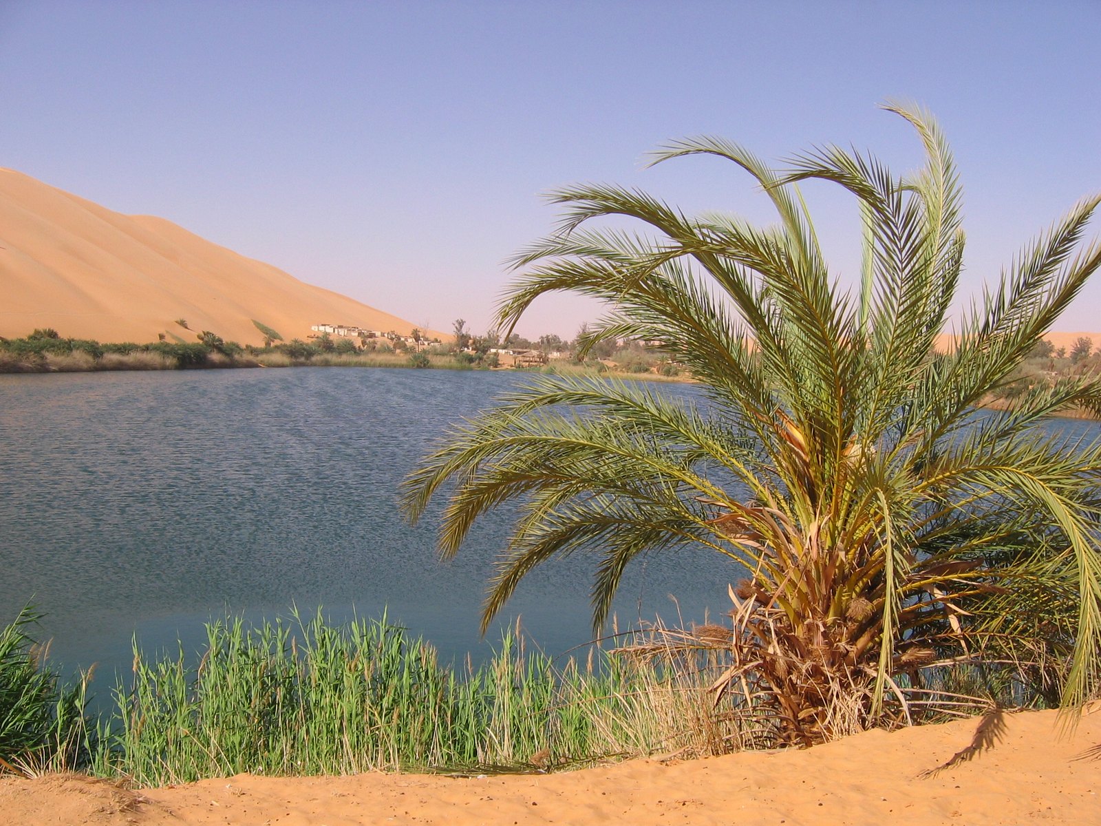 Les lacs d'Ubari, splendides oasis au milieu du désert Les lacs d Ubari splendides oasis au milieu du desert 9 1 Les-lacs-d-Ubari-splendides-oasis-au-milieu-du-desert-9