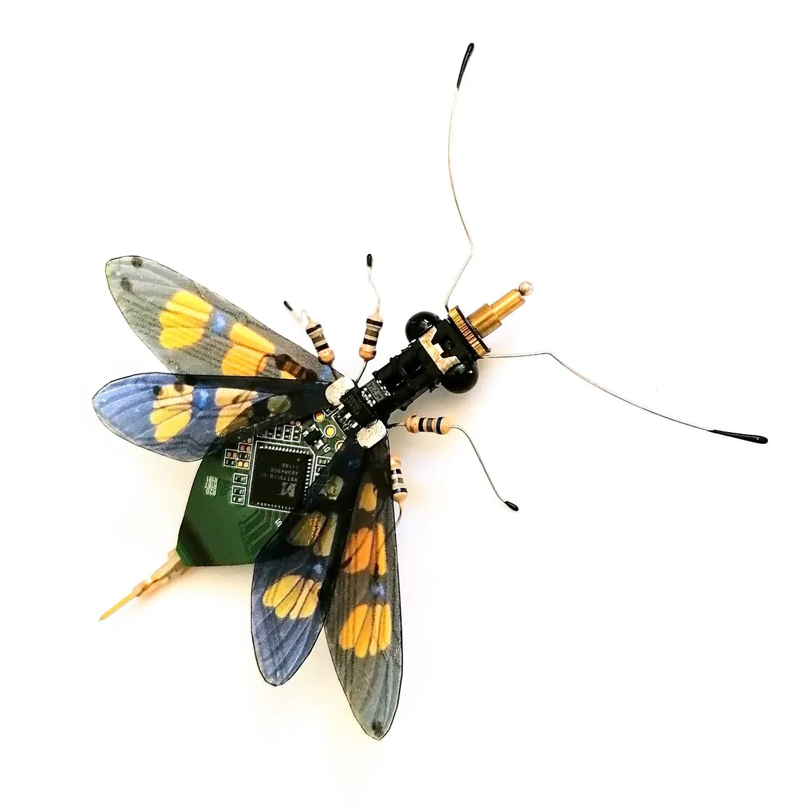 Sculptures d'insectes en recyclage électronique par Julie Alice Chappell Sculptures d insectes en recyclage electronique par Julie Alice Chappell 3 Sculptures-d-insectes-en-recyclage-electronique-par-Julie-Alice-Chappell-3