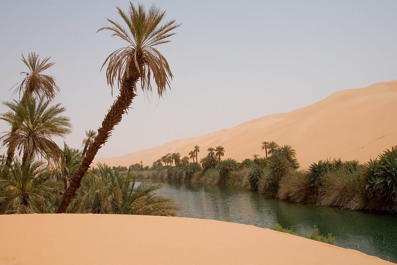Oasis et lac au milieu des dunes de l’erg d’Ubari en Libye Oasis et lac au milieu des dunes de l’erg d’Ubari en Libye